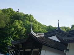 -上海佘山国家森林公园天马山园