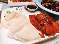-四季春