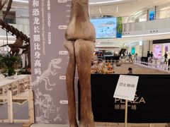 -上海七宝领展广场