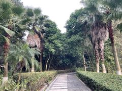 -铁山坪森林公园