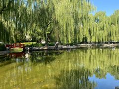 -玲珑塔公园