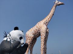 -西霞口神雕山野生动物世界