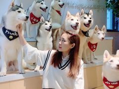 -Husky Go! 哈士奇体验馆·宠物咖啡厅狗咖