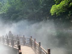 -北京西山国家森林公园