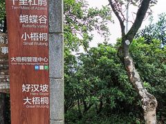 -梧桐山风景名胜区