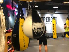 -Uppercut拳馆·Boxing拳击·Muay Thai泰拳