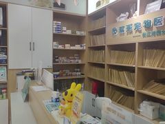 -瑞派长江宠物医院·猫科·外科·24小时夜护(谊城公寓分院)