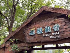-杭州长乔极地海洋公园