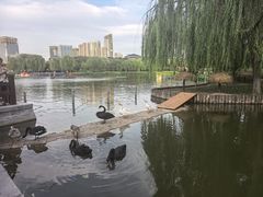 -西海子公园