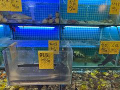 -聪辉同安老美食饭店(大元路店)