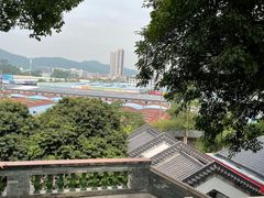 -广州神农草堂中医药博物馆