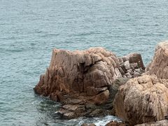 -青岛得宝湾维景国际大酒店(五四广场奥帆中心店)