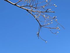 -雅达·阳羡溪山小镇中心