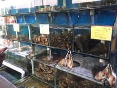 -蚝专家(北滘店)