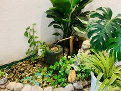 -如禾素食·下午茶·糖水