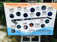 -贝壳梦幻世界