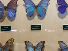 -陕西自然博物馆