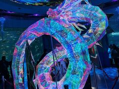 -海合安青岛极地海洋公园