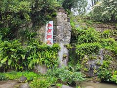 -深圳仙湖植物园
