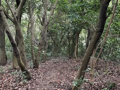 -火炉山森林公园