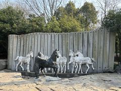 -白马涧龙池景区
