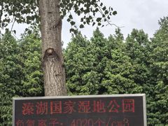 -溱湖国家湿地公园