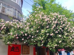 -东仓门早市