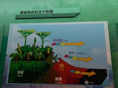 -大同煤炭博物馆