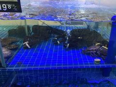-必点蒸汽海鲜(止锚湾店)