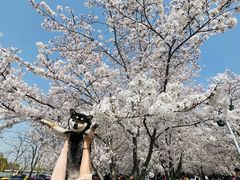 -龙美术馆(西岸馆)