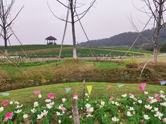 -径山花海