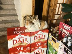 -厚山庭院重庆老火锅
