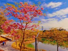 -深圳人才公园