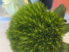 -王品台塑牛排(成都万象城店)