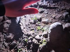 -兰溪地下长河