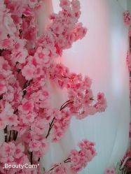 -爱儿宝孕妇儿童亲子摄影(月亮河店)