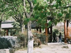 -中国唐苑