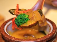 -叶叶菩提(太原别墅店)