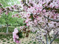 -元大都城垣遗址公园