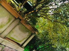 -龙井壹号·茶缘山景宴(龙井村店)