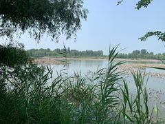 -野鸭湖国家湿地公园