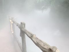 -川西竹海景区