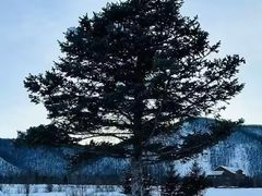 -北极村旅游风景区