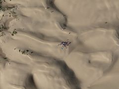 -恩格贝生态旅游区