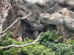 -香港海洋公园