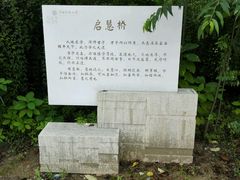 android_upload_pic-中国药科大学（江宁校区）综合门诊部