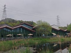 -西湖风景区-江洋畈生态公园