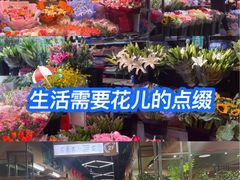 -大自然花鸟鱼虫市场