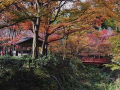 -三千院