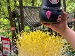 -巴倒烫陆派重庆火锅(南山店)